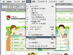 サファリ(Safari)