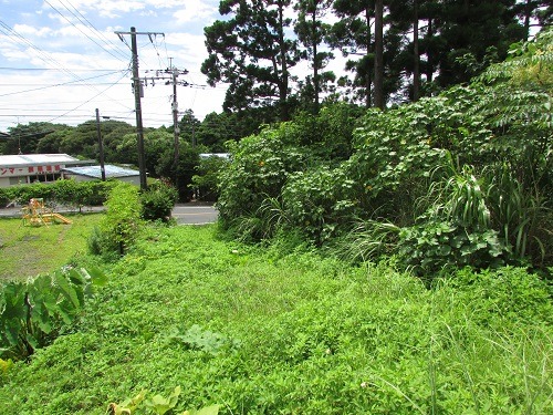 画像9