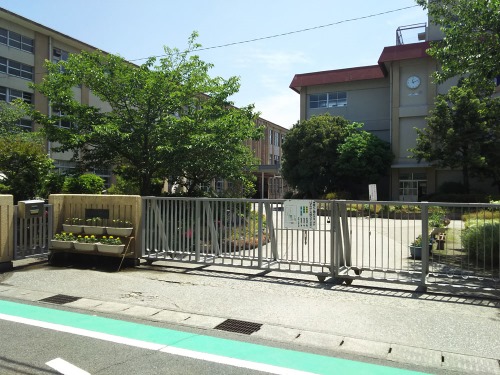 画像29