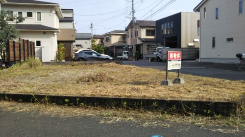 画像4