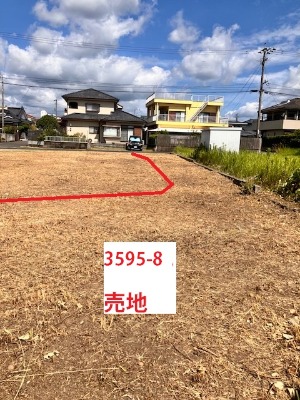 画像7