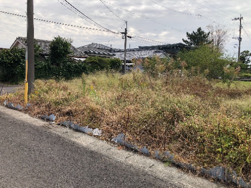 画像7