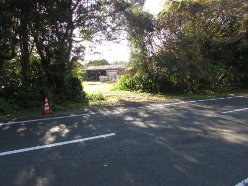 画像7