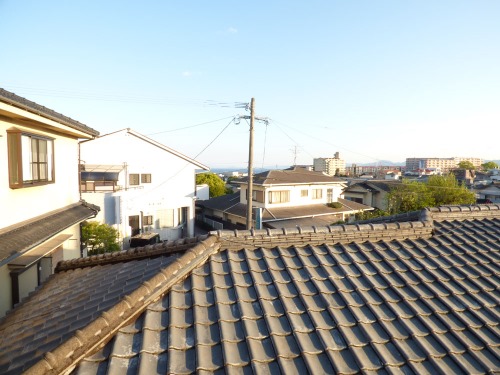 画像12