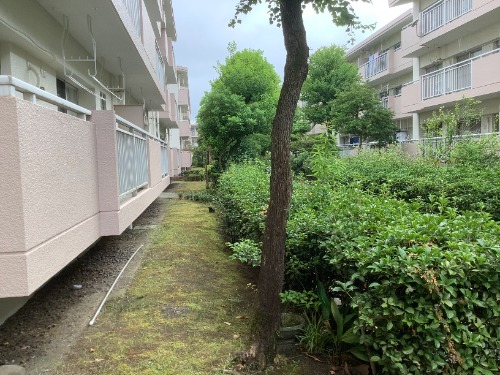 画像14