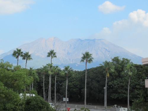画像13
